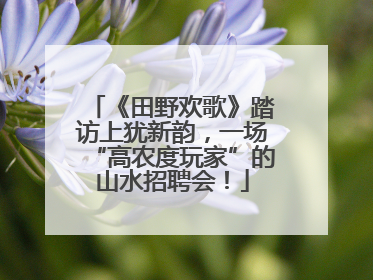 《田野欢歌》踏访上犹新韵，一场“高农度玩家”的山水招聘会！
