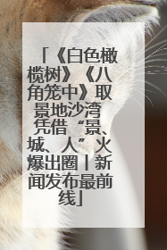《白色橄榄树》《八角笼中》取景地沙湾 凭借“景、城、人”火爆出圈丨新闻发布最前线