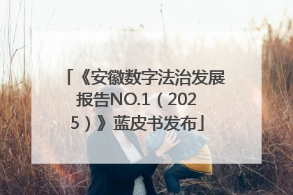 《安徽数字法治发展报告NO.1（2025）》蓝皮书发布