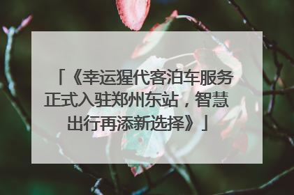 《幸运猩代客泊车服务正式入驻郑州东站，智慧出行再添新选择》