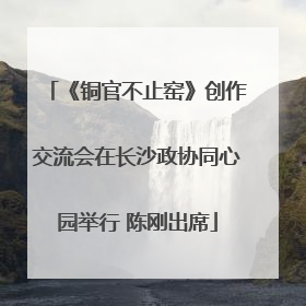 《铜官不止窑》创作交流会在长沙政协同心园举行 陈刚出席