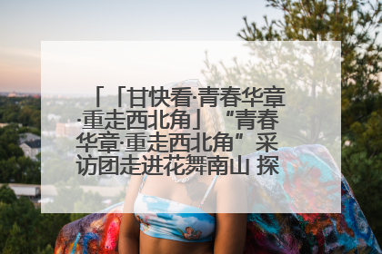 「甘快看·青春华章·重走西北角」“青春华章·重走西北角”采访团走进花舞南山 探寻天水乡村振兴之路
