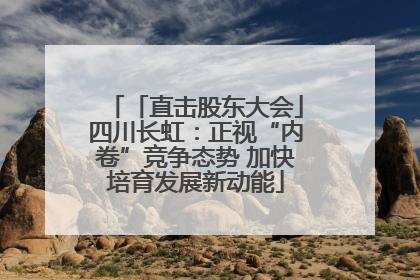 「直击股东大会」四川长虹：正视“内卷”竞争态势 加快培育发展新动能