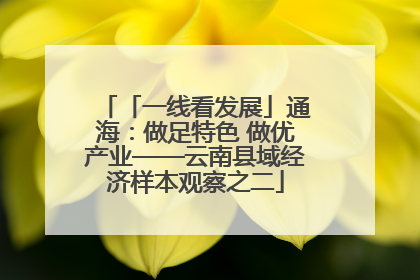 「一线看发展」通海：做足特色 做优产业——云南县域经济样本观察之二