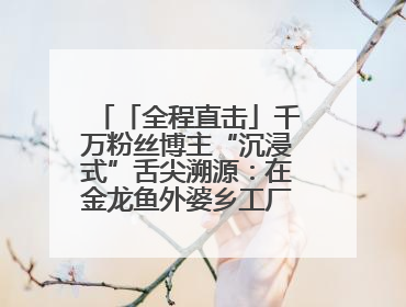 「全程直击」千万粉丝博主“沉浸式”舌尖溯源：在金龙鱼外婆乡工厂寻回记忆中