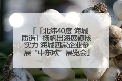 「北纬40度 海城质造」扬帆出海展硬核实力 海城四家企业参展“中东欧”展览会