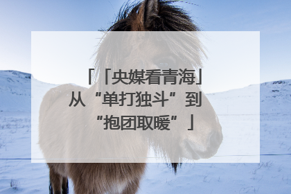 「央媒看青海」从“单打独斗”到“抱团取暖”
