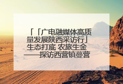 「广电融媒体高质量发展陕西采访行」生态打底 农旅生金——探访西营镇蔓营村省级旅游示范村的振兴密码