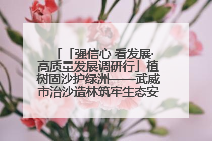 「强信心 看发展·高质量发展调研行」植树固沙护绿洲——武威市治沙造林筑牢生态安全屏障见闻