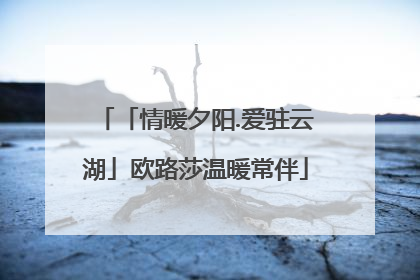 「情暖夕阳.爱驻云湖」欧路莎温暖常伴