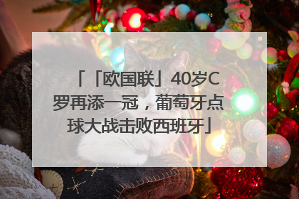 「欧国联」40岁C罗再添一冠，葡萄牙点球大战击败西班牙