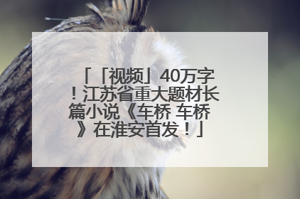 「视频」40万字！江苏省重大题材长篇小说《车桥 车桥》在淮安首发！