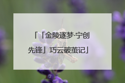 「金陵逐梦·宁创先锋」巧云破茧记