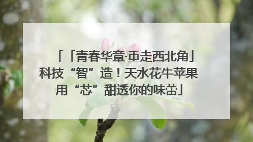 「青春华章·重走西北角」科技“智”造！天水花牛苹果用“芯”甜透你的味蕾