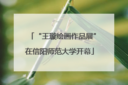 “王璇绘画作品展”在信阳师范大学开幕