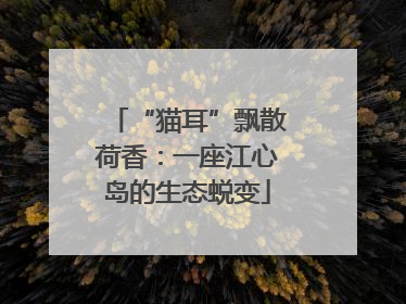 “猫耳”飘散荷香：一座江心岛的生态蜕变