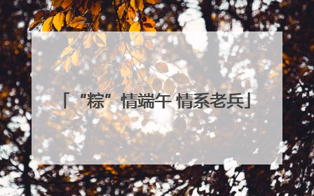 “粽”情端午 情系老兵