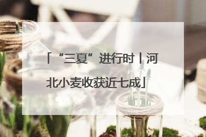 “三夏”进行时丨河北小麦收获近七成