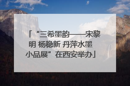 “三希墨韵——宋黎明 杨稳新 丹萍水墨小品展”在西安举办