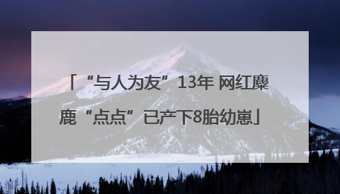 “与人为友”13年 网红麋鹿“点点”已产下8胎幼崽