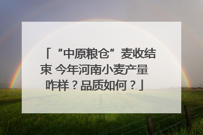 “中原粮仓”麦收结束 今年河南小麦产量咋样？品质如何？