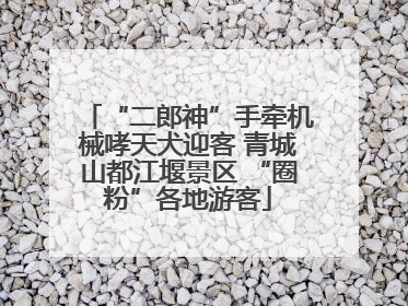 “二郎神”手牵机械哮天犬迎客 青城山都江堰景区 “圈粉”各地游客