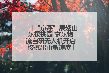 “京燕”展翅山东樱桃园 京东物流自研无人机开启樱桃出山新速度