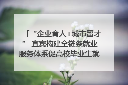 “企业育人+城市留才” 宜宾构建全链条就业服务体系促高校毕业生就业｜您牵挂的四川