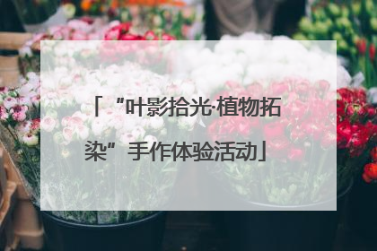 “叶影拾光·植物拓染”手作体验活动