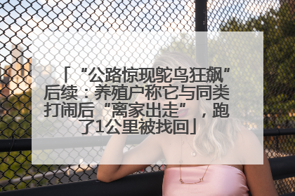 “公路惊现鸵鸟狂飙”后续：养殖户称它与同类打闹后“离家出走”，跑了1公里被找回