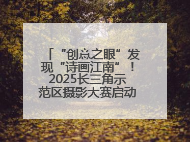 “创意之眼”发现“诗画江南”！2025长三角示范区摄影大赛启动，喊你来“拍”