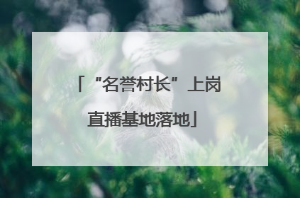 “名誉村长”上岗 直播基地落地