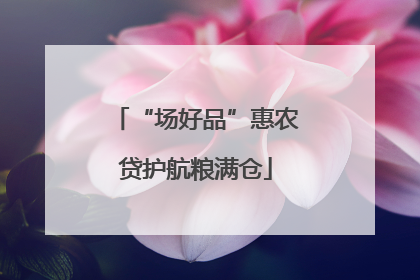 “场好品”惠农贷护航粮满仓