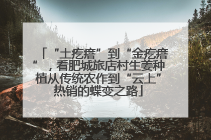 “土疙瘩”到“金疙瘩”，看肥城旅店村生姜种植从传统农作到“云上”热销的蝶变之路