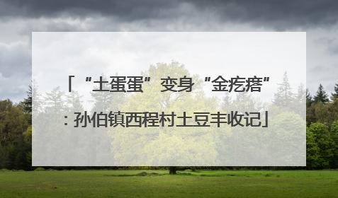 “土蛋蛋”变身“金疙瘩”：孙伯镇西程村土豆丰收记