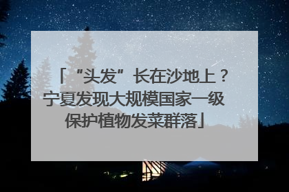 “头发”长在沙地上？宁夏发现大规模国家一级保护植物发菜群落