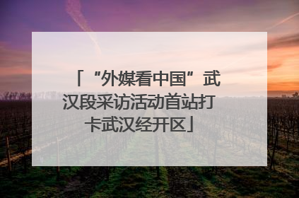 “外媒看中国”武汉段采访活动首站打卡武汉经开区