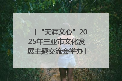 “天涯文心”2025年三亚市文化发展主题交流会举办