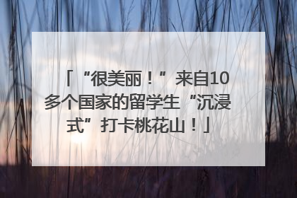 “很美丽！”来自10多个国家的留学生“沉浸式”打卡桃花山！