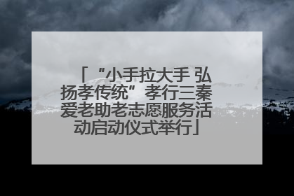 “小手拉大手 弘扬孝传统”孝行三秦爱老助老志愿服务活动启动仪式举行