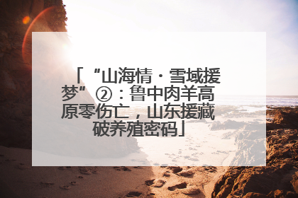 “山海情・雪域援梦”②：鲁中肉羊高原零伤亡，山东援藏破养殖密码