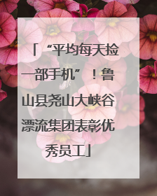 “平均每天捡一部手机”！鲁山县尧山大峡谷漂流集团表彰优秀员工
