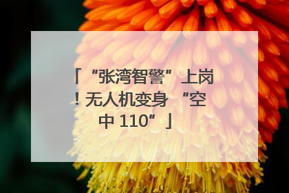 “张湾智警”上岗！无人机变身 “空中 110”