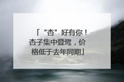 “杏”好有你！杏子集中登鹭，价格低于去年同期