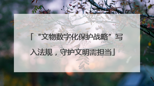 “文物数字化保护战略”写入法规，守护文明需担当