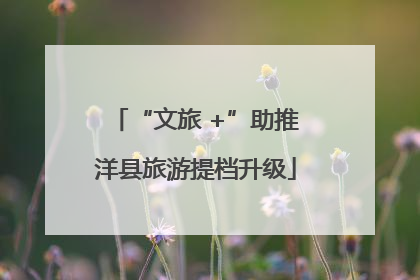 “文旅 +”助推洋县旅游提档升级