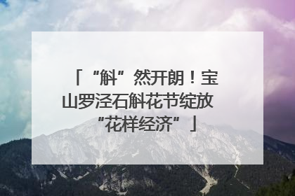 “斛”然开朗！宝山罗泾石斛花节绽放“花样经济”