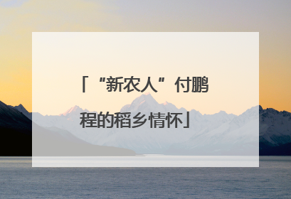 “新农人”付鹏程的稻乡情怀