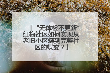 “无体检不更新”红梅社区如何实现从老旧小区蝶到完整社区的蝶变？