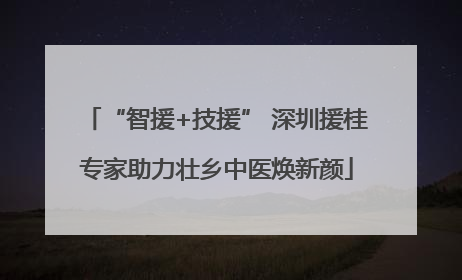 “智援+技援” 深圳援桂专家助力壮乡中医焕新颜